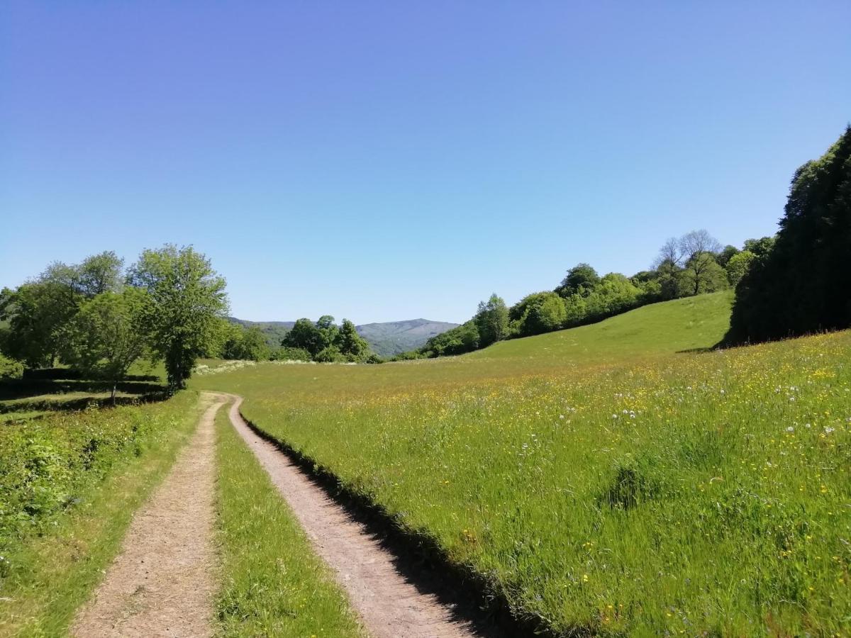 Marmanhac Maison A La Campagne Au Coeur Du Cantal Dept 15 מראה חיצוני תמונה